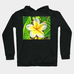 Plumeria Hoodie